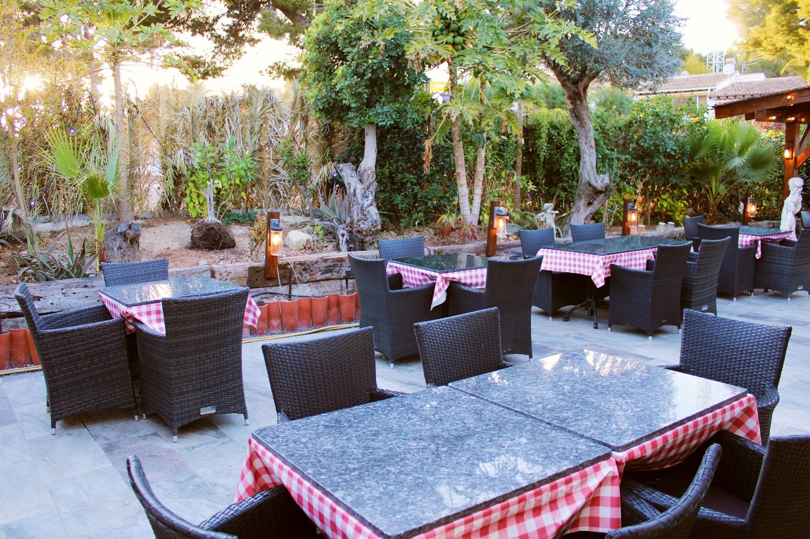 Tables among the olive trees